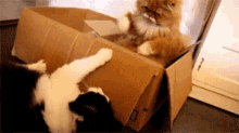 557CF9C0-30A0-45DE-8042-7A1F4E3177B3.gif