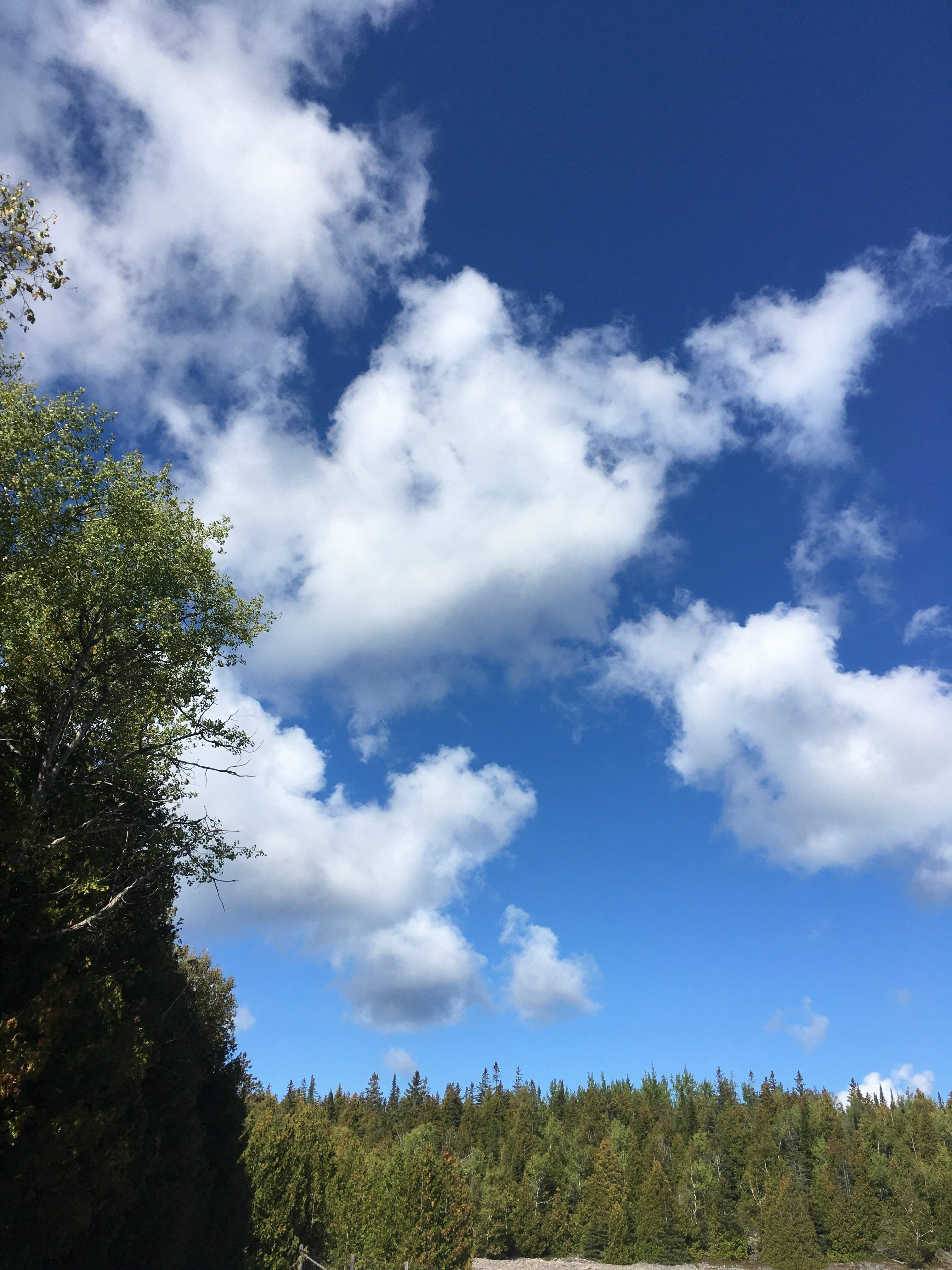 55AB6FD3-5C83-4F6E-BD06-EF3552E34FB1.jpeg