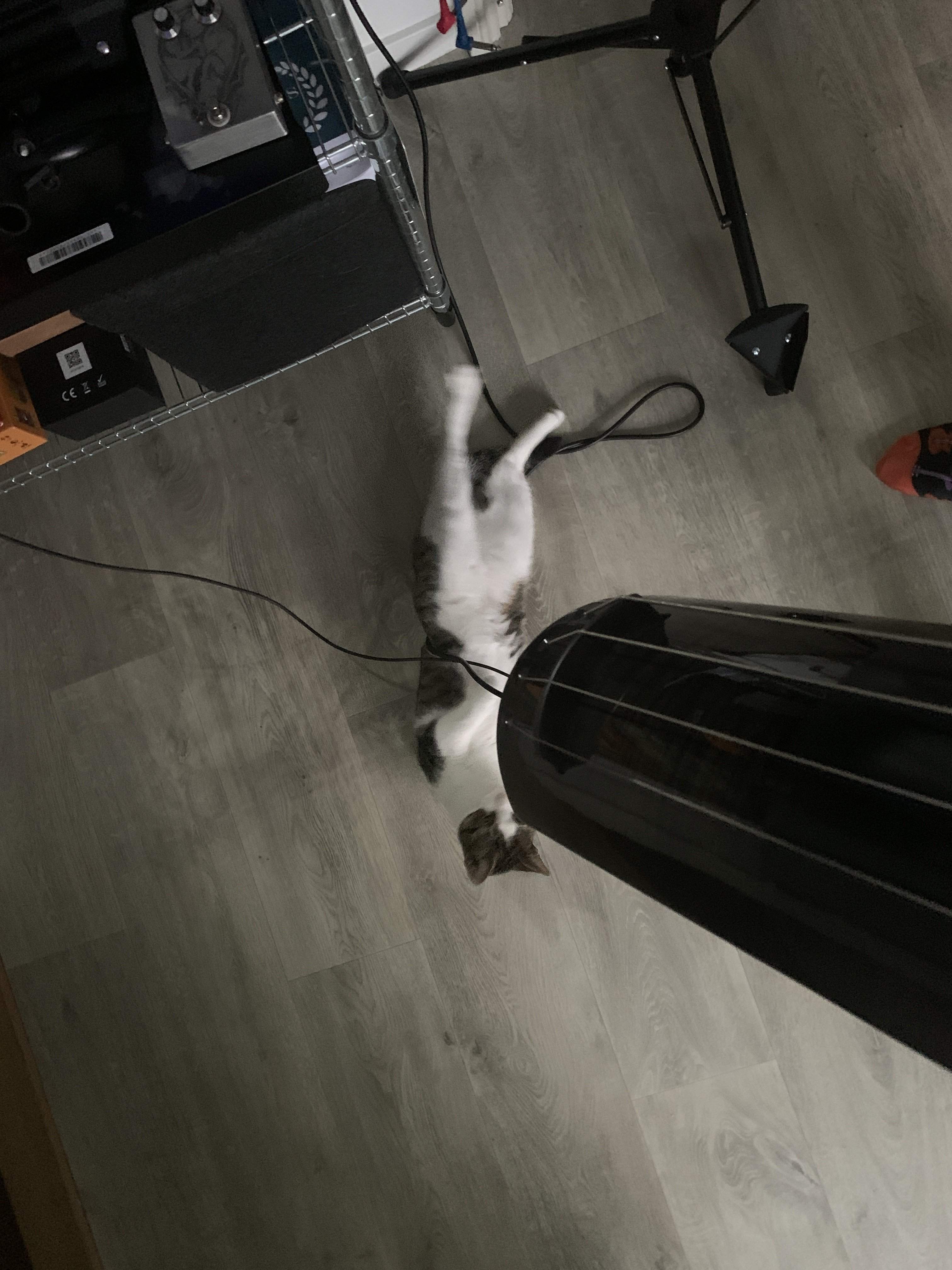 5643D34D-8701-4D7E-8146-37AB84EE8834.jpeg