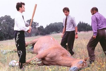 56beating_a_dead_horse_1.jpg