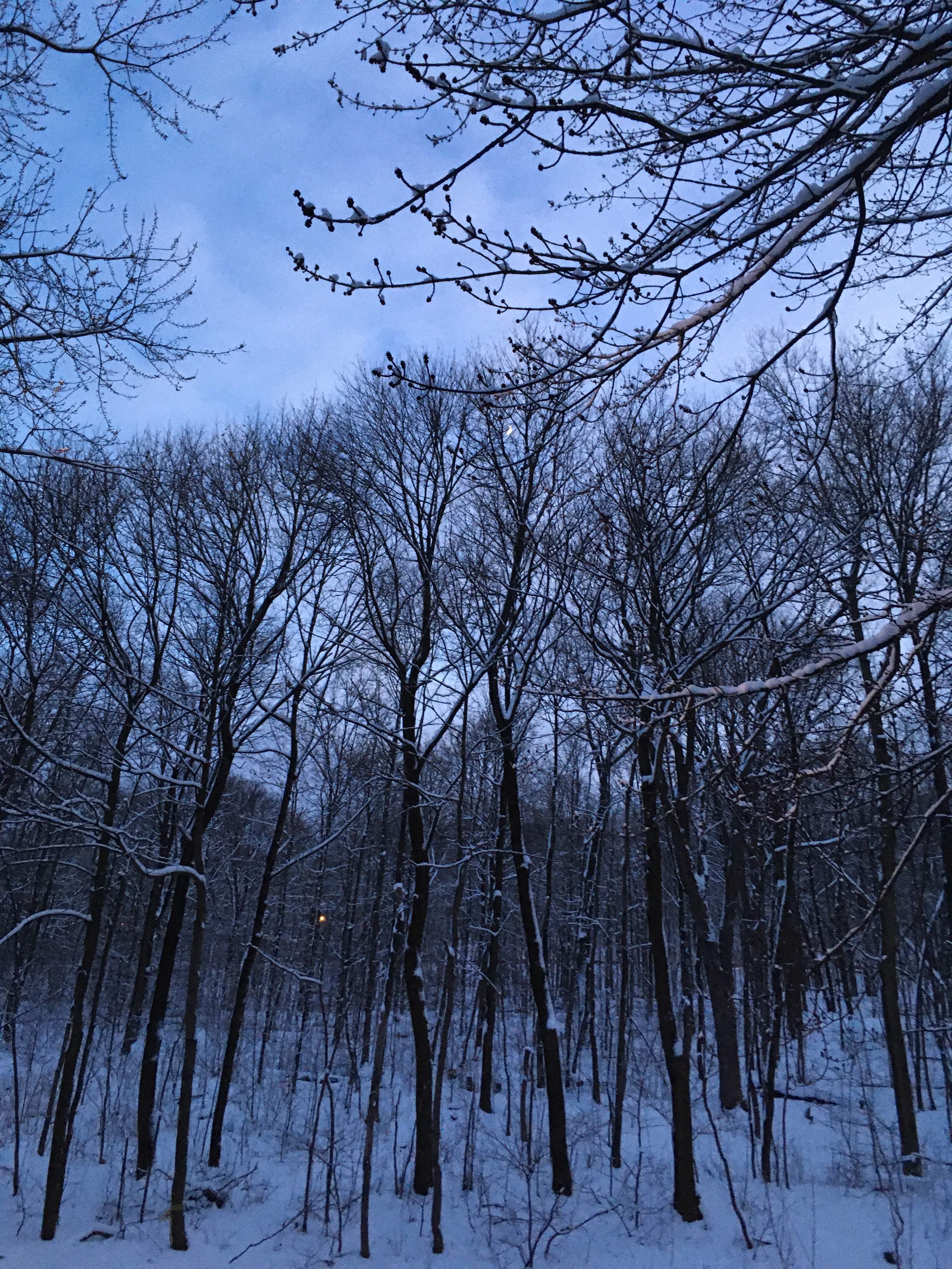 573ECED8-FBF4-42F7-A8EE-6CCF392A6FDF.jpeg