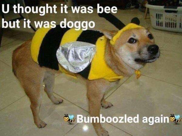 57816.jpeg