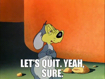 57D3CED2-6F44-4173-8B05-B406361DC585.gif