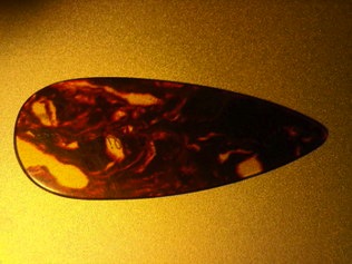 591995.jpg