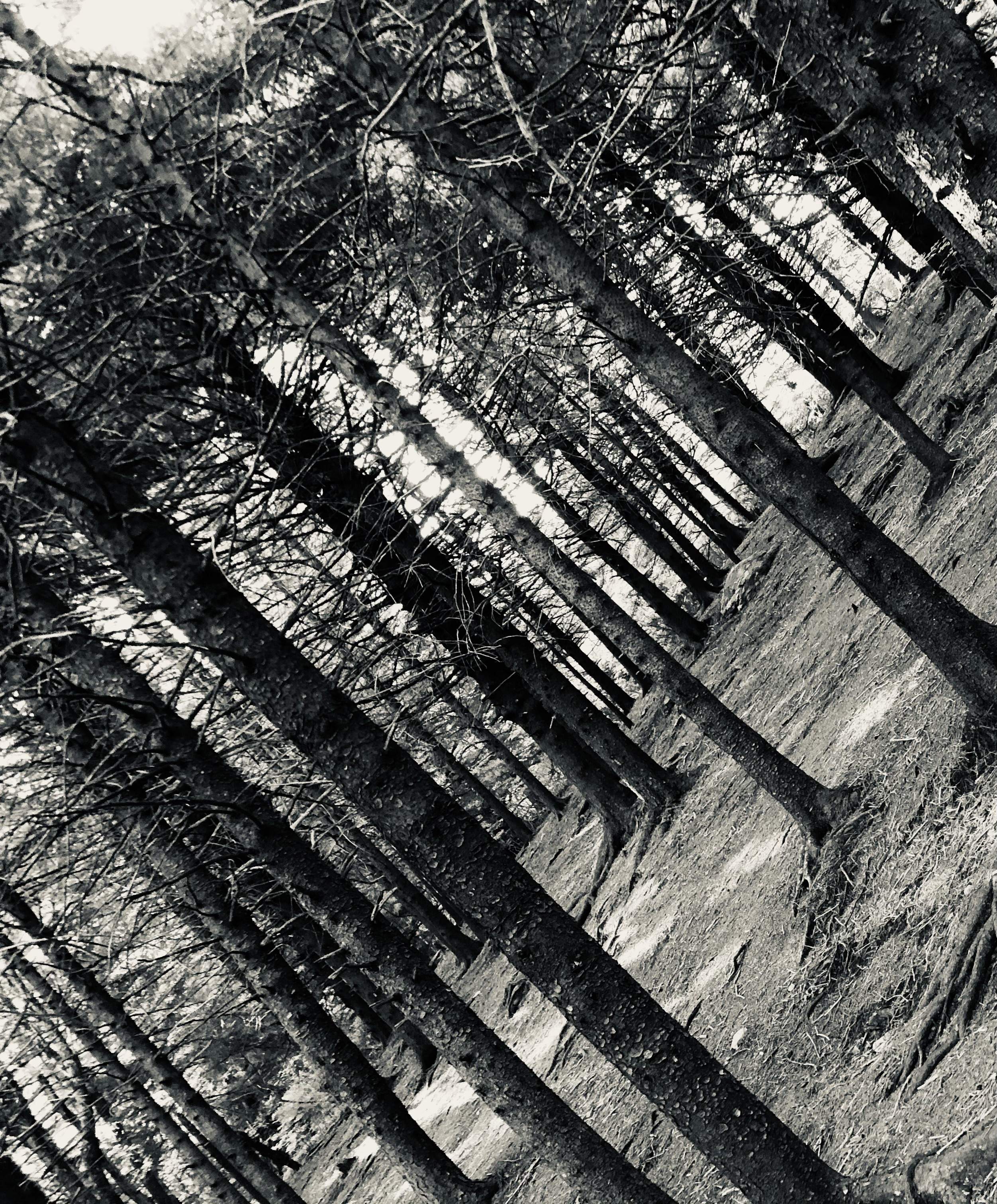 5A159691-CFF9-403F-BC09-84441AD8D583.jpeg