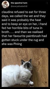 5AA88660-B807-4084-A938-C85FDEAD8310.jpeg