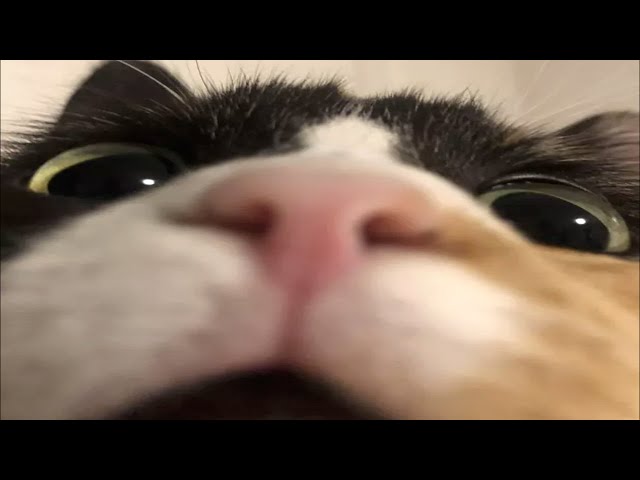 5B2C8672-50E0-46DC-95A8-3F8FD11C6699.jpeg