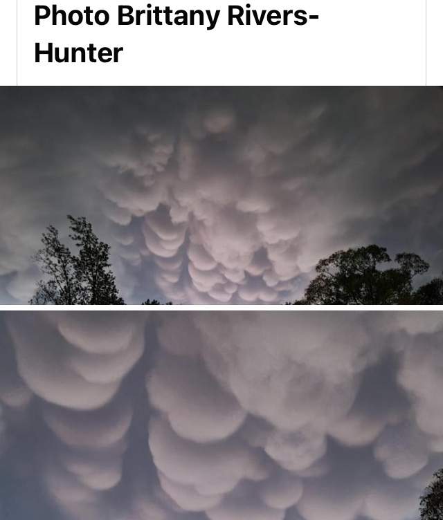 5CF0C965-45A2-40CF-9EA1-5B2F4B53511E.jpeg