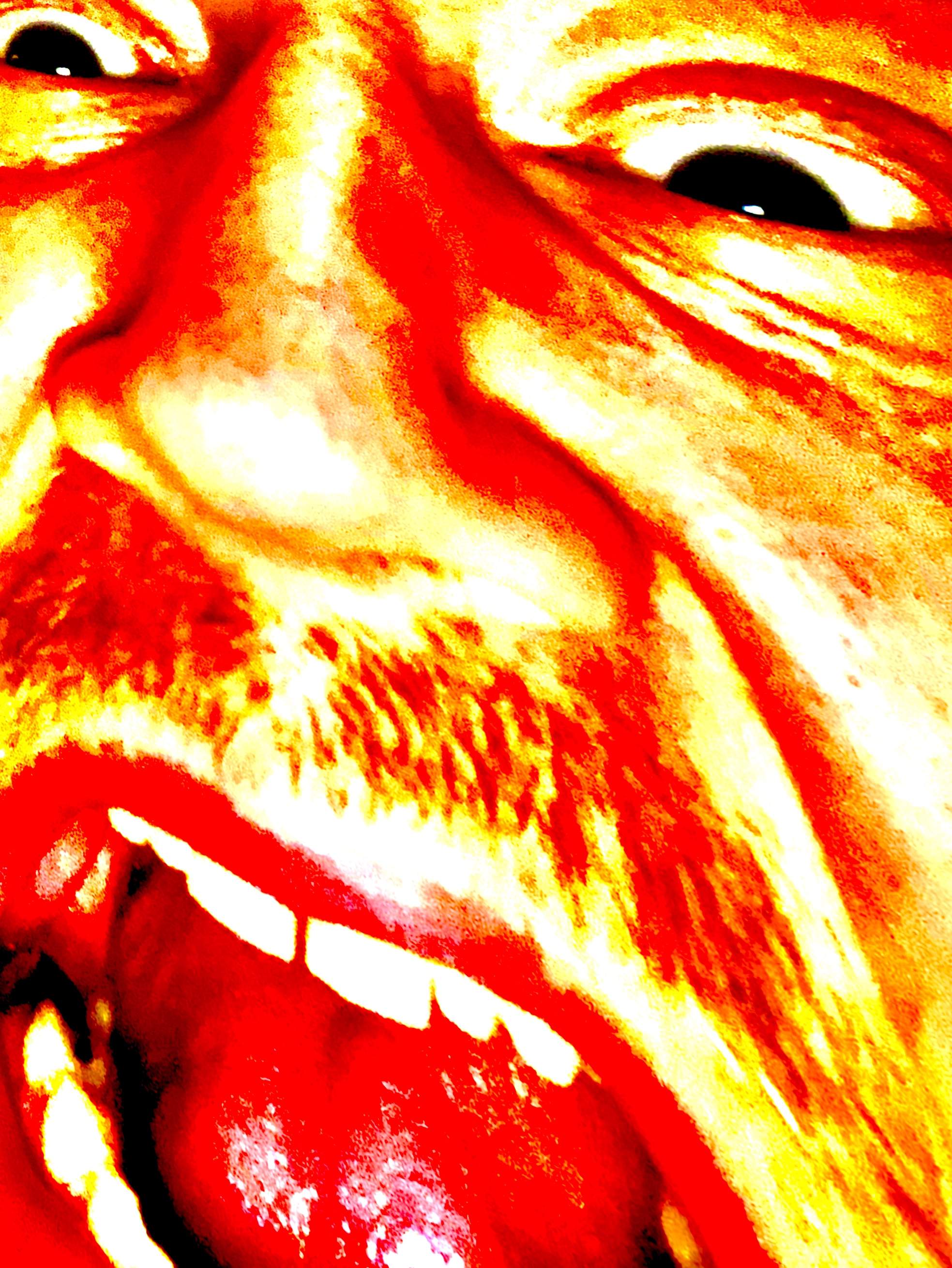 5D8A67AD-9FF6-4768-AF23-42A307101AE9.jpeg
