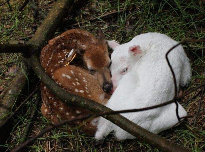 5db6d9e9237ee.jpg