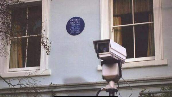 5ED5B8FD-341F-4A02-8DF4-A975F21B87FD.jpeg