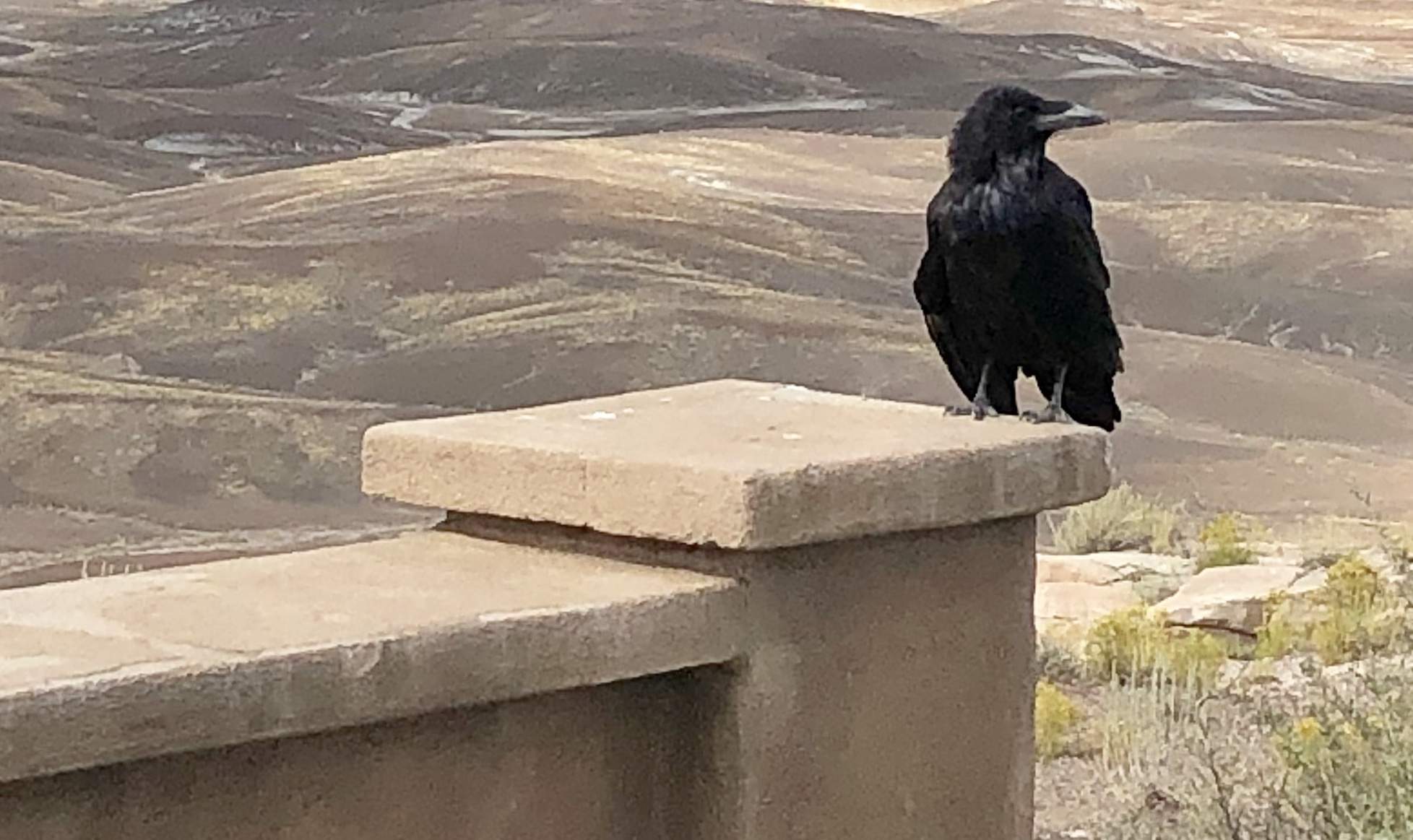 5EF697EE-9F31-4960-8961-EDFEEF3DF4EC.jpeg