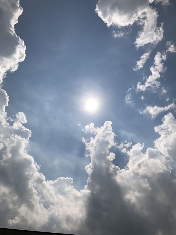 5F011AD9-BF86-4B65-BC0E-E14983C5A9F1.jpg