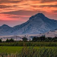 5F190F06-7144-4EC0-A43C-B8BCE721EBF8.jpeg