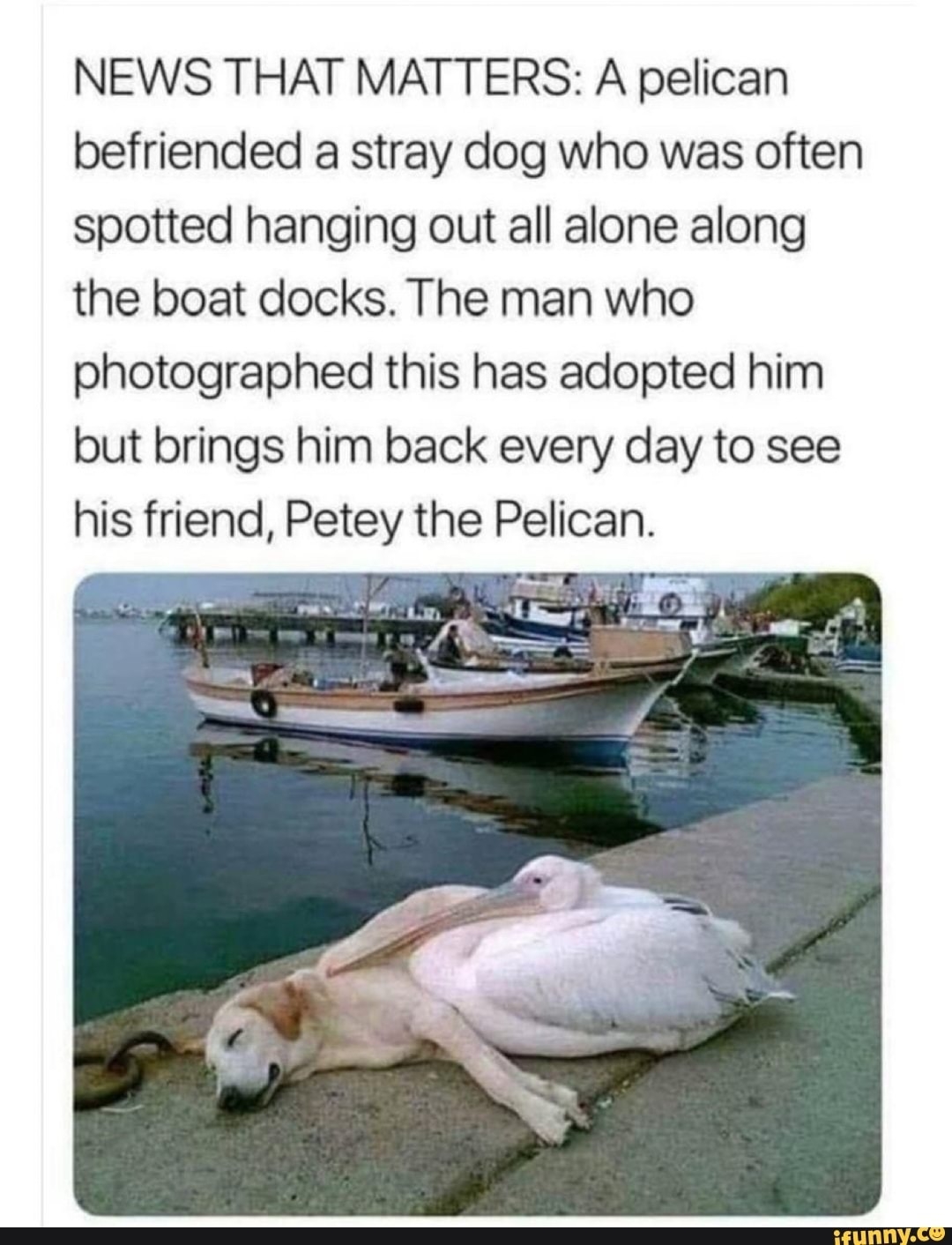 5f21e32cca07f-2737960321.jpeg