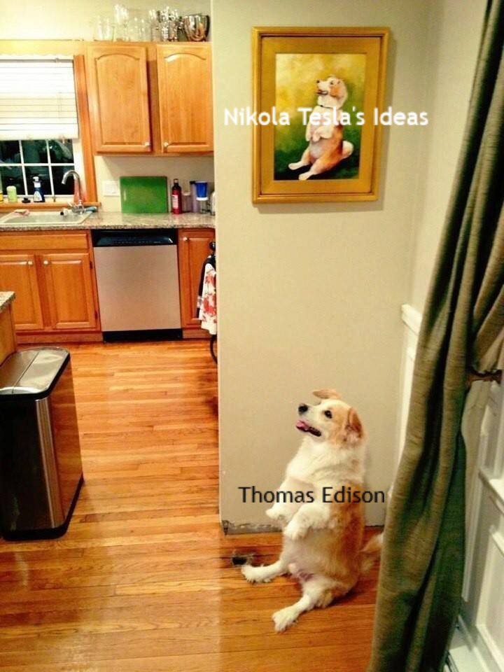 5js7jzfqdyf21.jpg