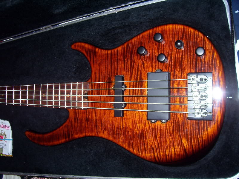 5plusbody.jpg