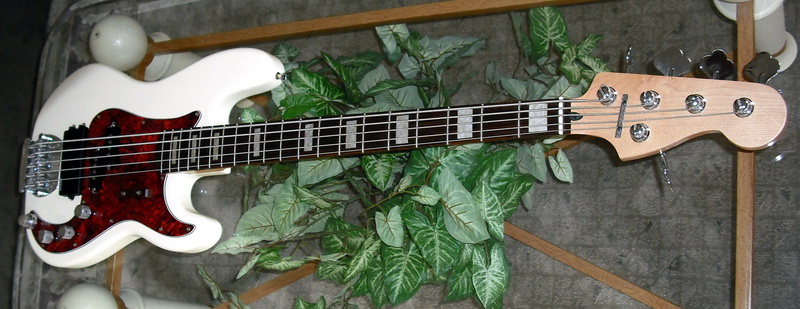 5s%20004.jpg