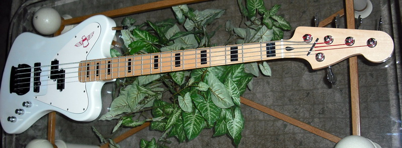 5s%20026.jpg