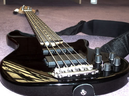 5string-1.jpg