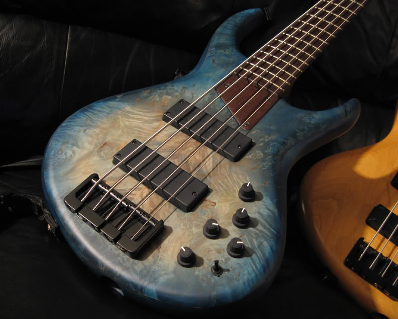 5string.jpg