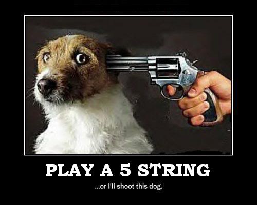 5STRING.jpg