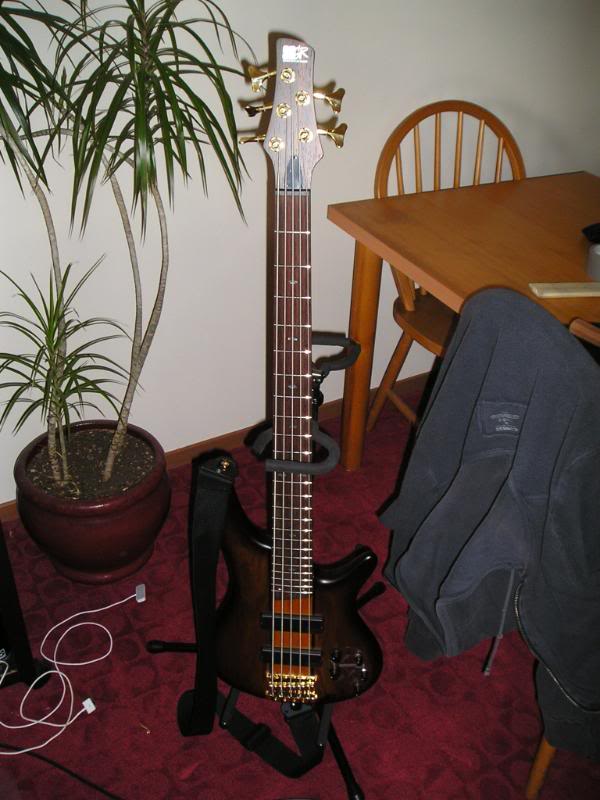5string001.jpg
