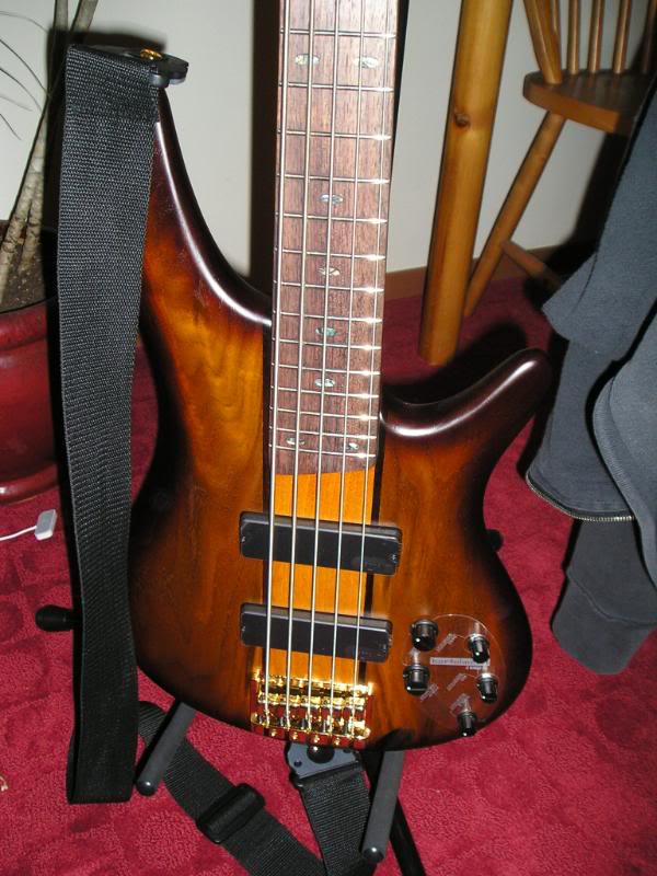 5string002.jpg