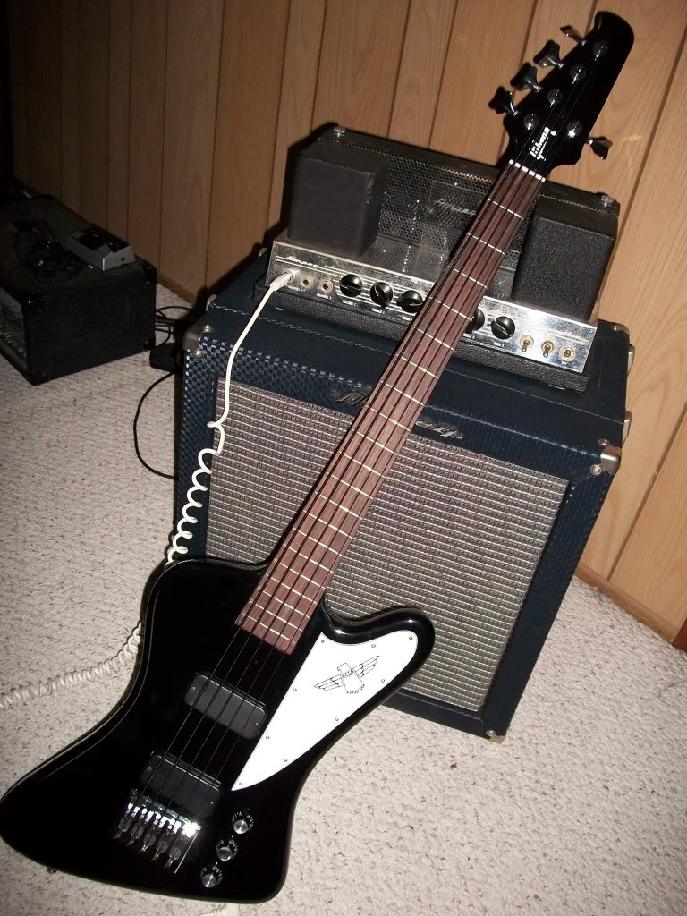 5stringbird002.jpg