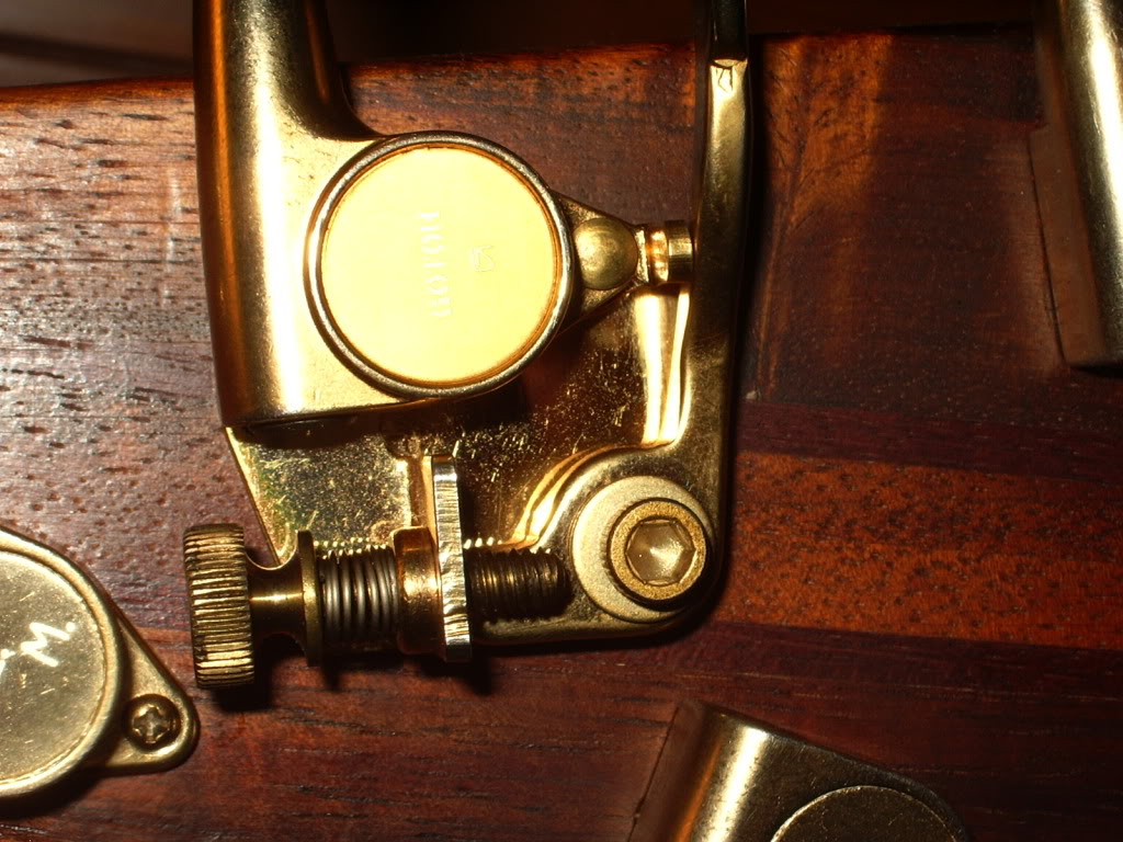 5StringD-tuner.jpg