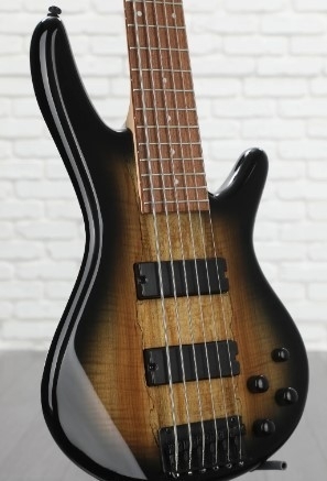 6-string bass3.jpg