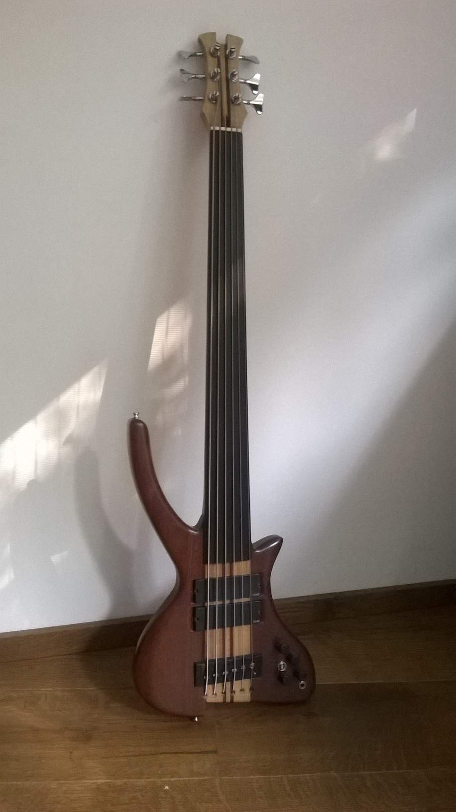 6-string fretless.jpg