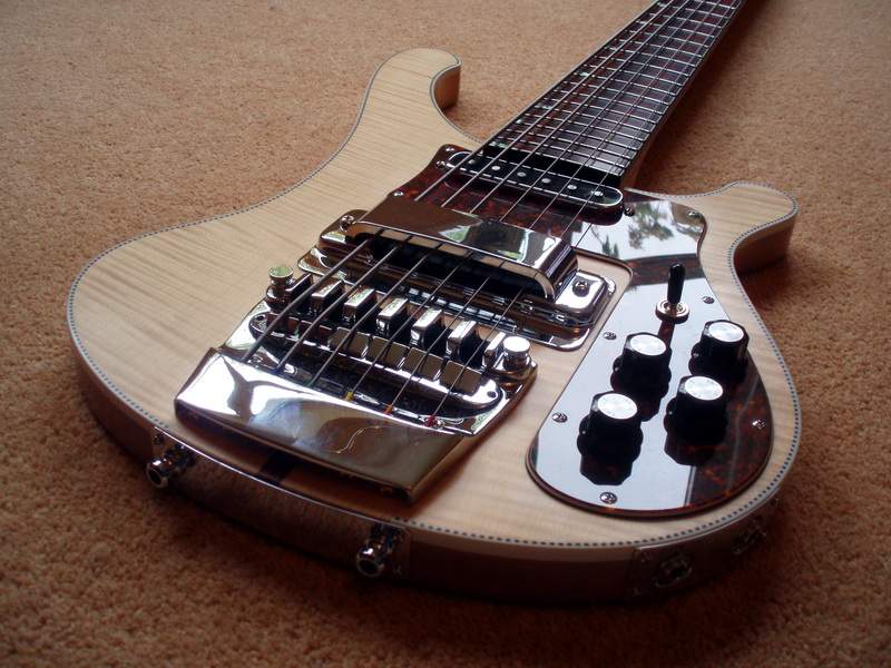6 string rick 019.jpg