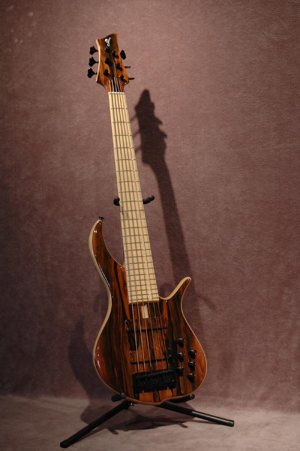 600_Fbass_BN6_Macassar.jpg