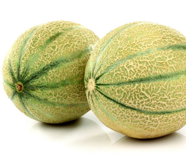 600x501.jpg