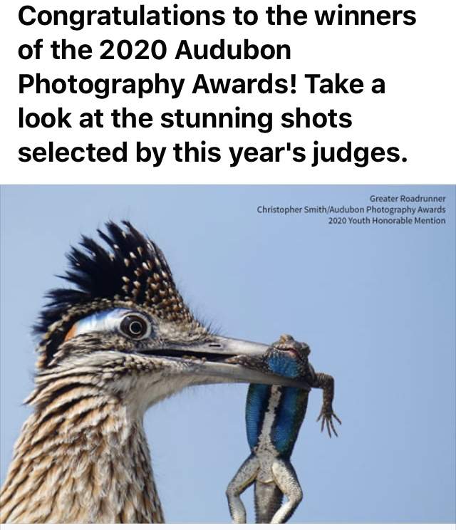 601FFBA8-741E-4EAB-914B-458BD551A6E3.jpeg