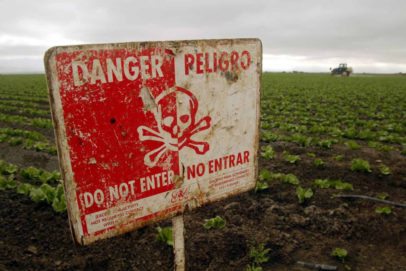 6077474Chualar_CA.jpg