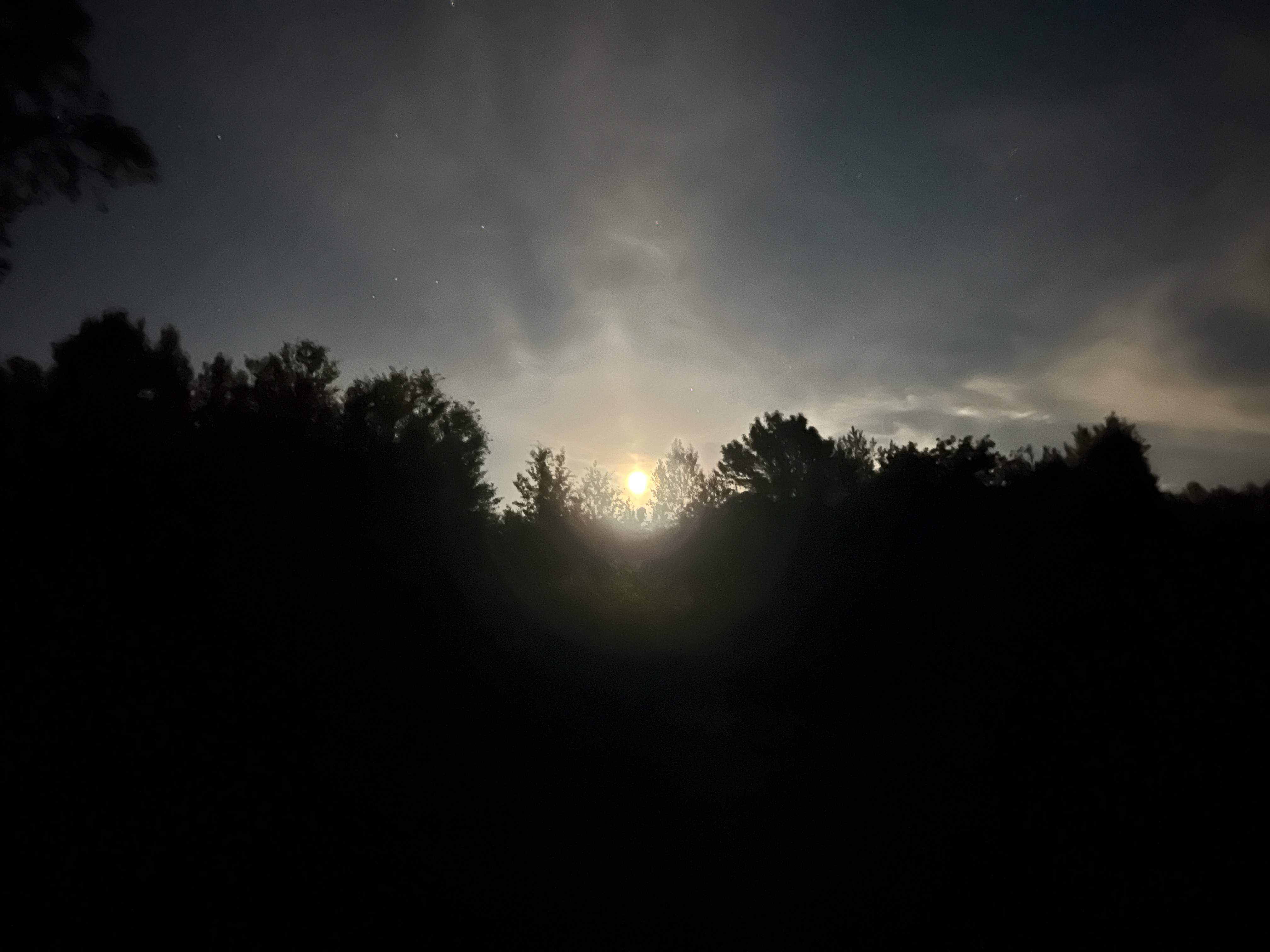 61B76C94-2246-442B-BA5B-15B2DA5A19BE.jpeg