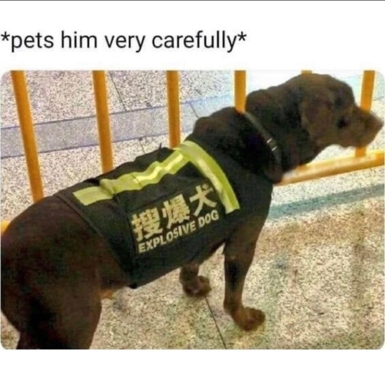 652f6c1022014-1826031379.jpeg