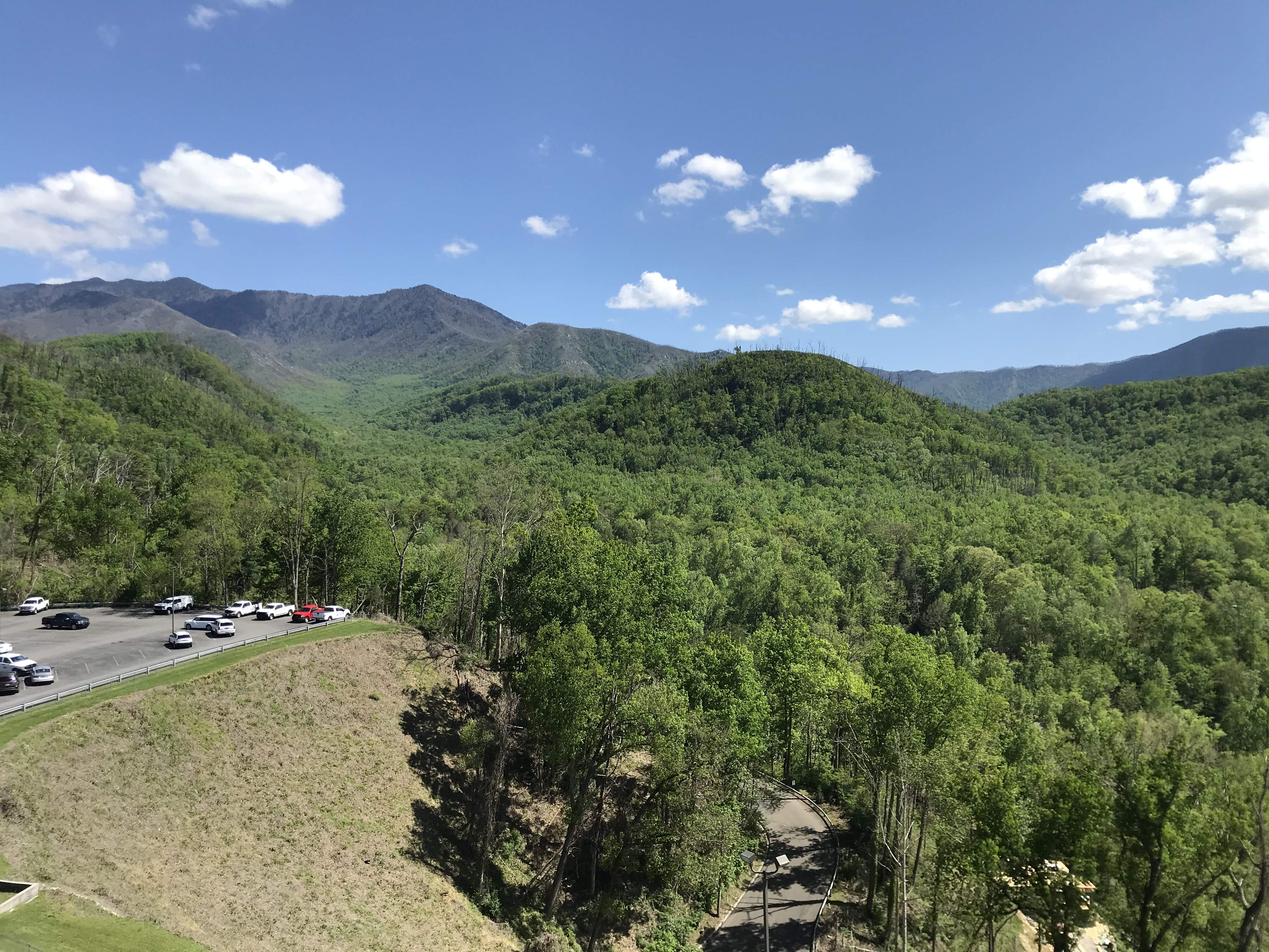 652F866B-1F06-4248-8331-7337A86C3D33.jpeg