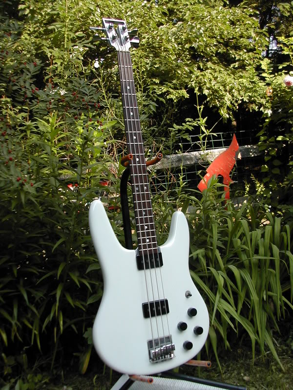6572ada6.jpg