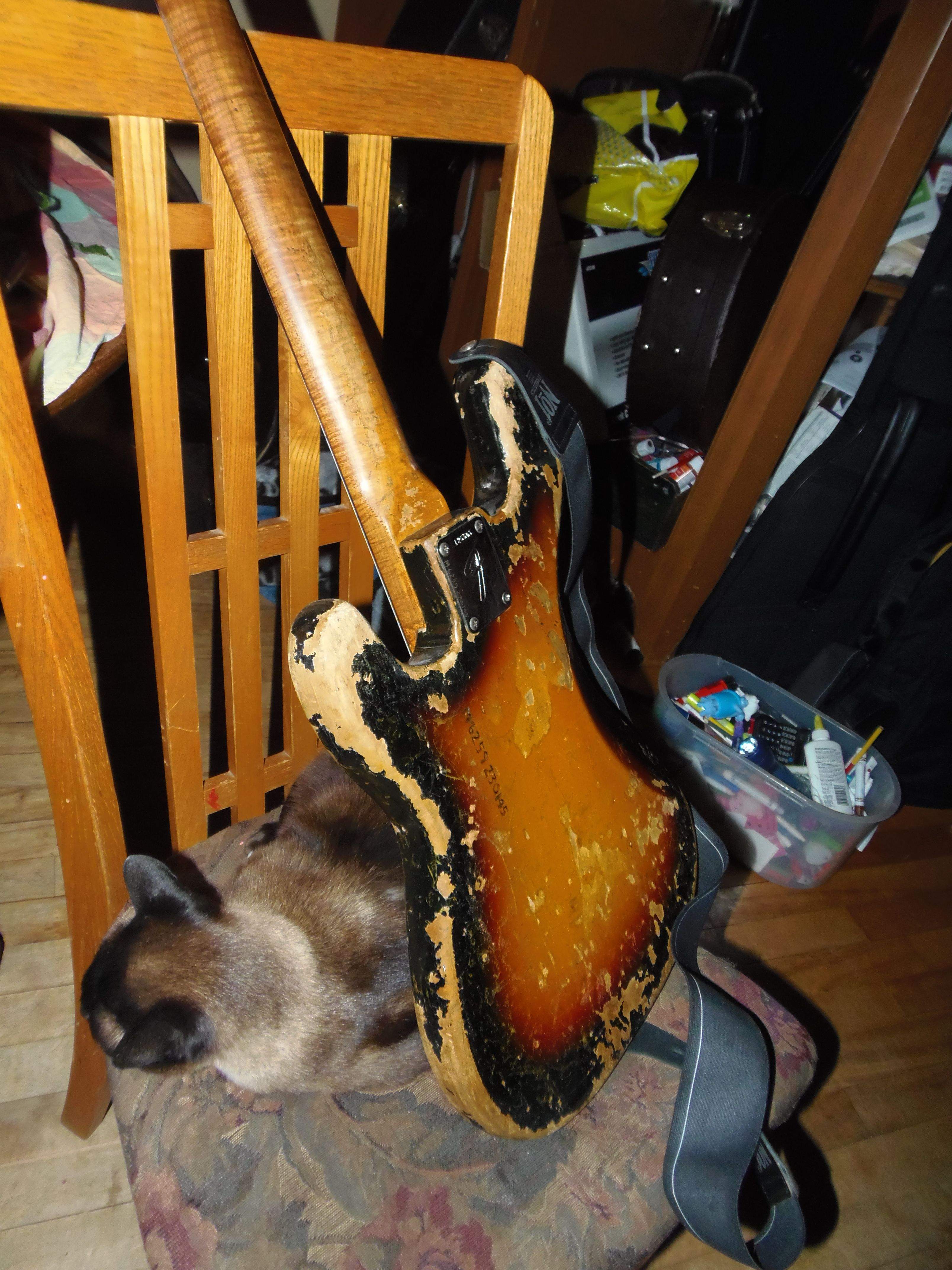 6666bass.jpg