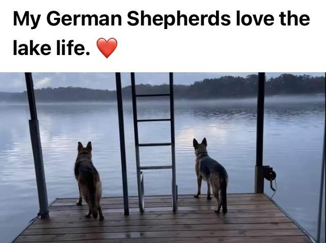 66D6EFA1-5113-40C0-87DB-9E22E0B7F2CA.jpeg