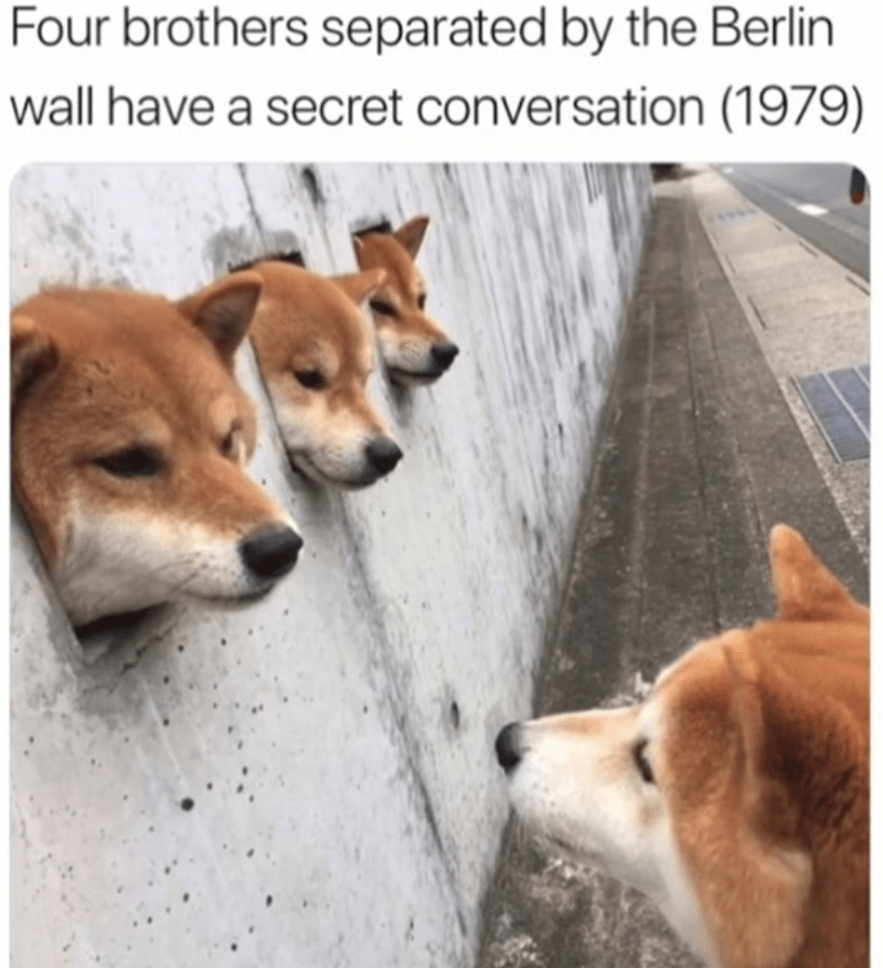66DEB46B-391F-42C9-8A86-A7FDCE90B6FE.png