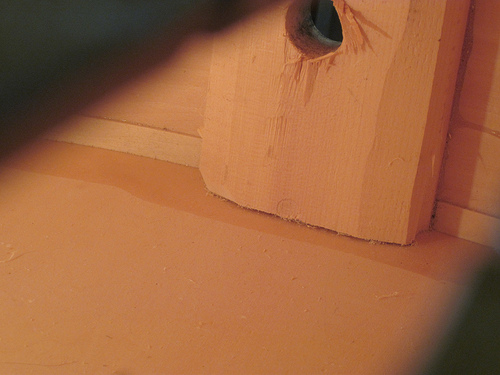 6718354959_a8ac35031c.jpg
