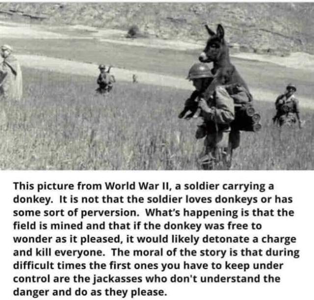 679F35F9-9E20-4F24-ACE0-95150C3112AA.jpeg