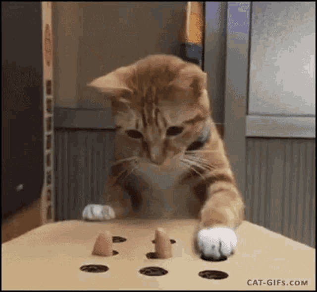 68D48109-41CB-41F6-9AAE-8D9C7C44E22E.gif