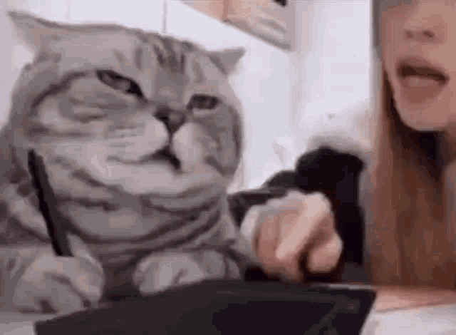 6974ACA2-E865-4A19-A7EC-6886F146494D.gif