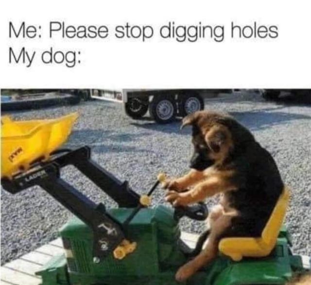 699fa6956693d68608bed2f647e8955e-3475113793.jpeg
