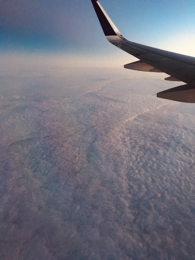 69AA4C01-BB3E-40DD-8E92-5AF37BB59295.jpeg